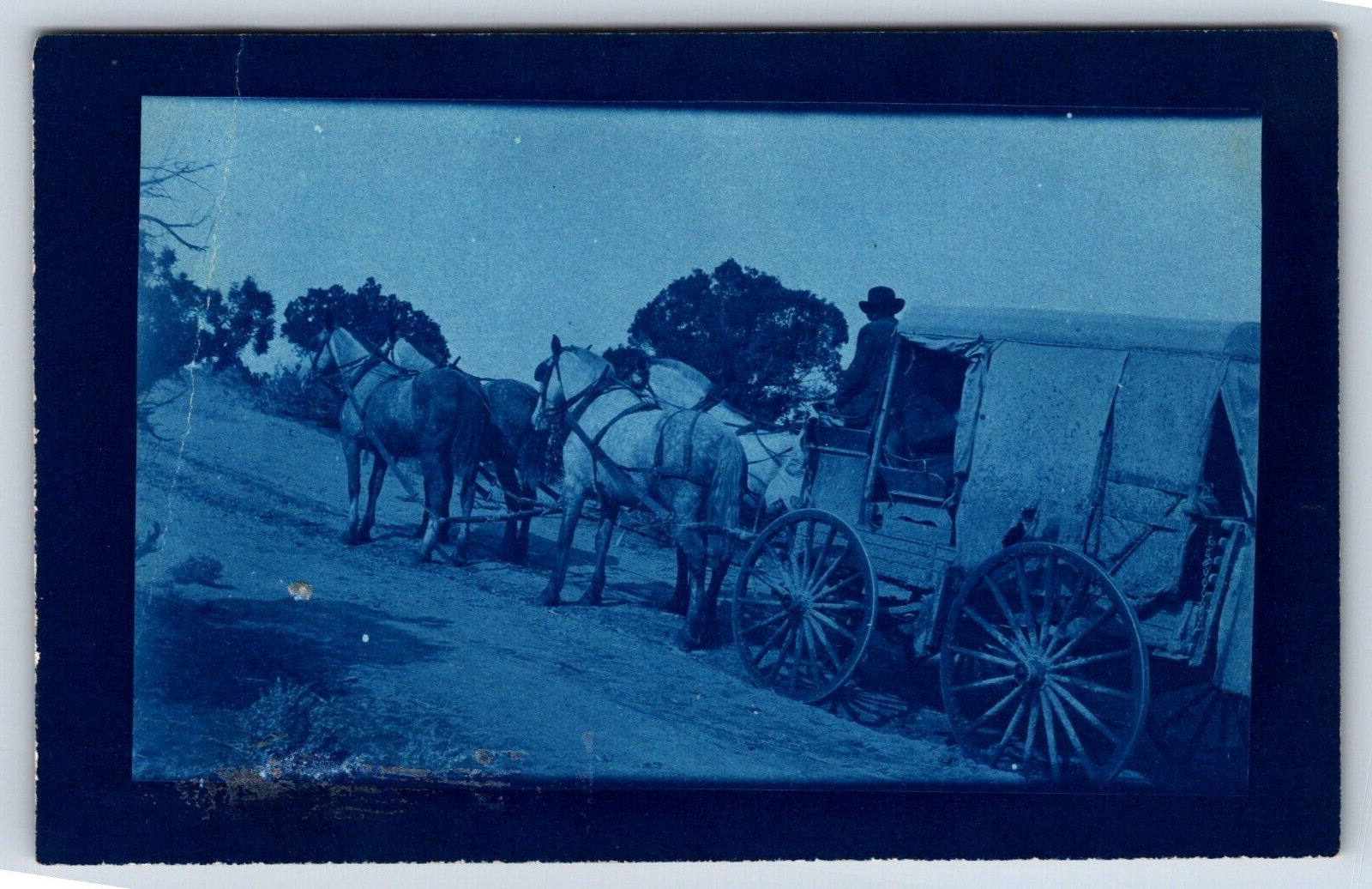 Postcard RPPC Horse Drawn Wagon Carriage Cyanotype Transportation Dirt Road G6