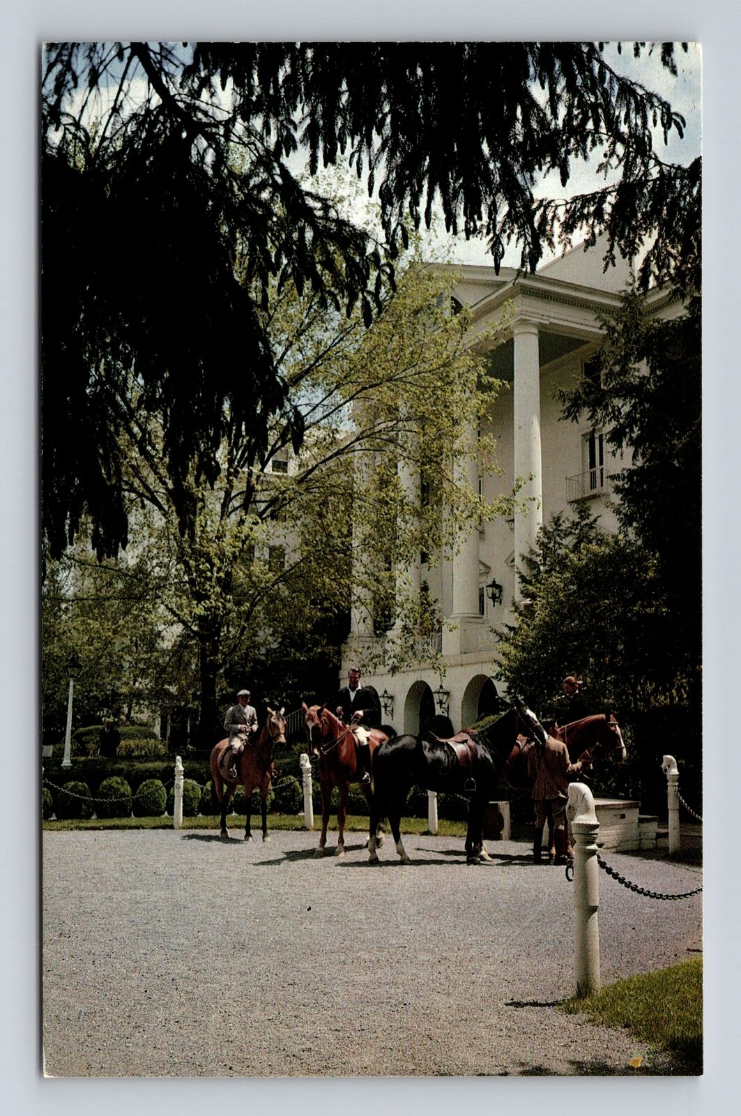 White Sulphur Springs WV-West Virginia, The Greenbrier, Horses Vintage Postcard