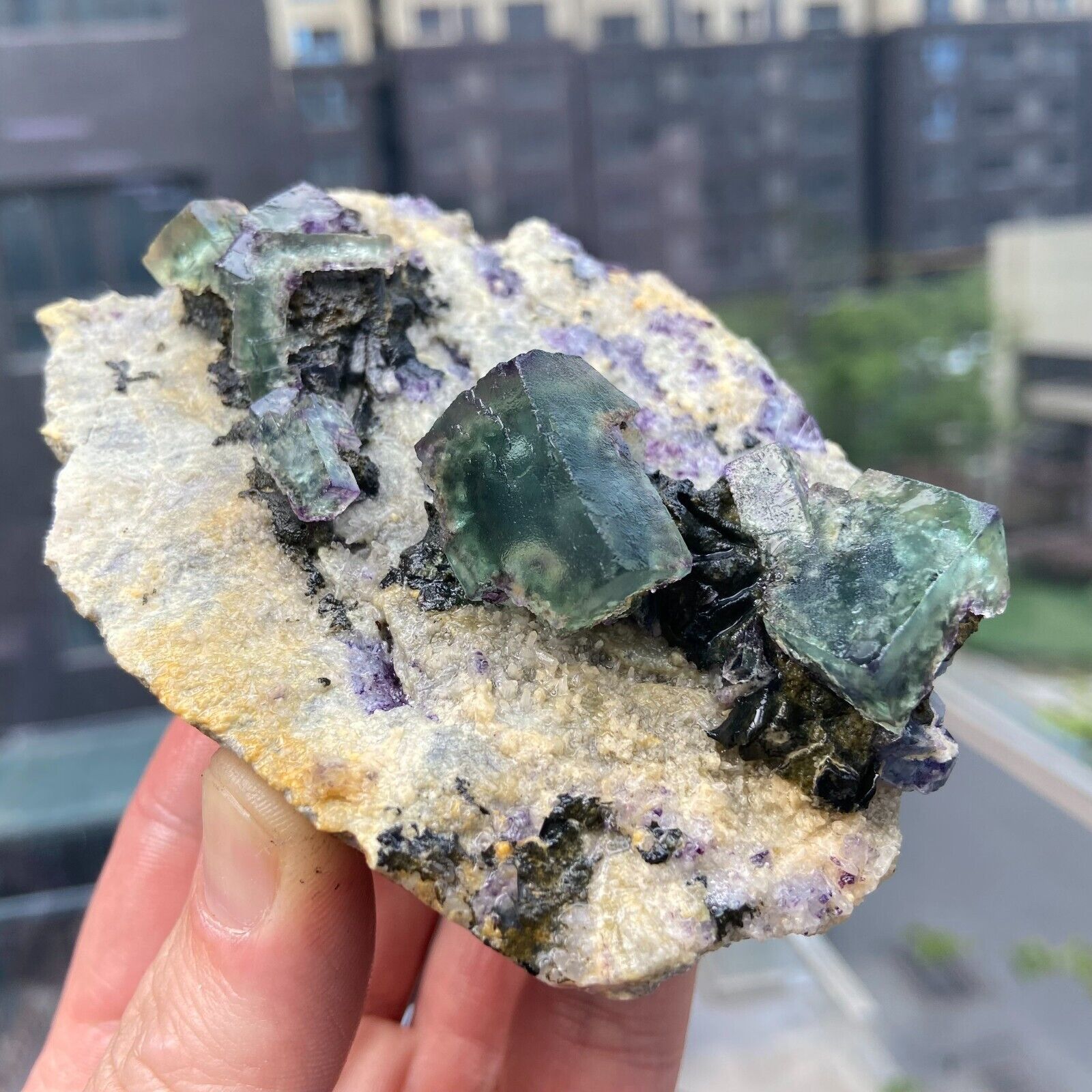 310g Natural Violet Fluorite Paragenetic Green Fluorite crystal mineral specimen