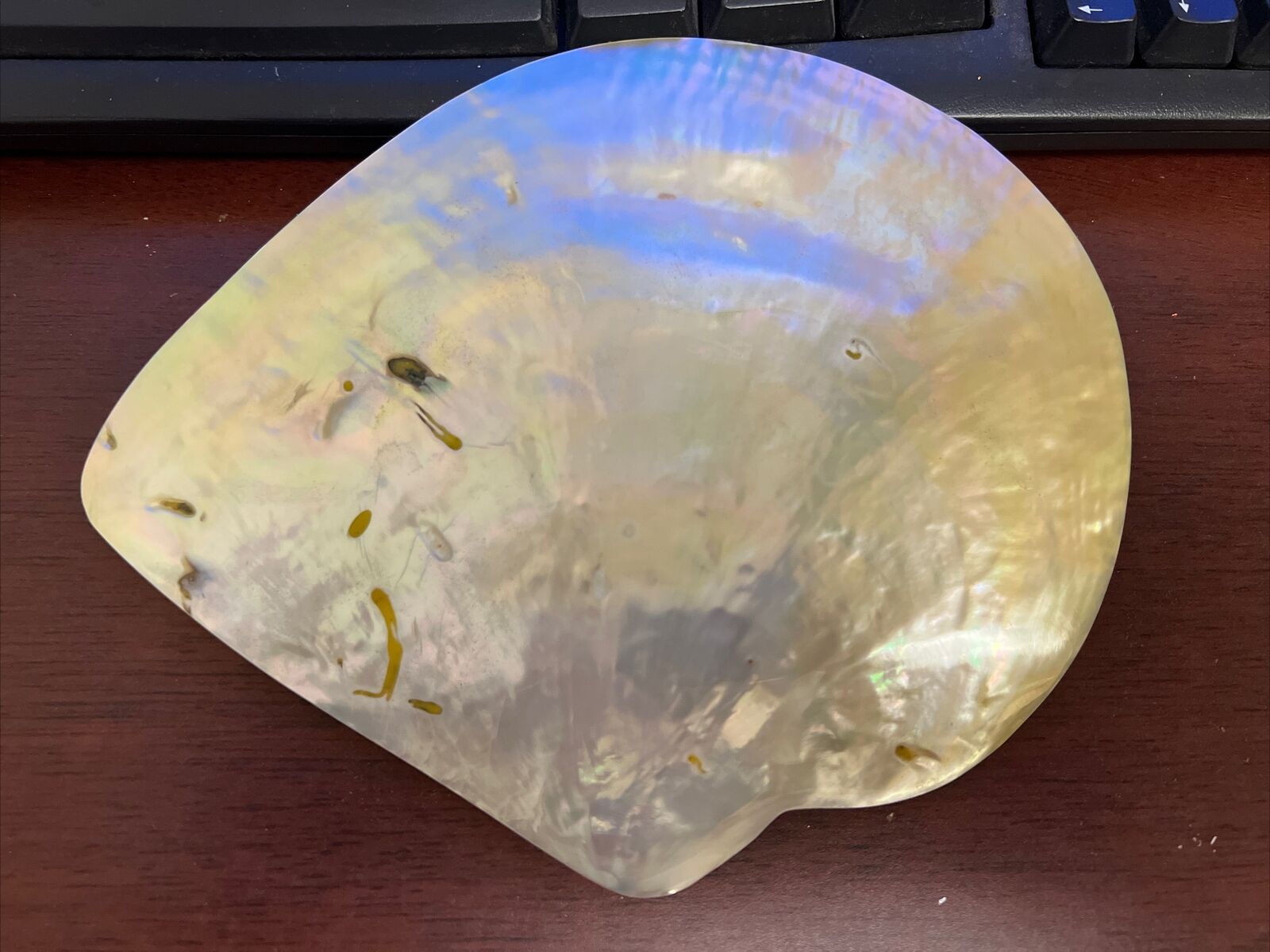 Large Mother Of Pearl Shell Plate Collectible 8\