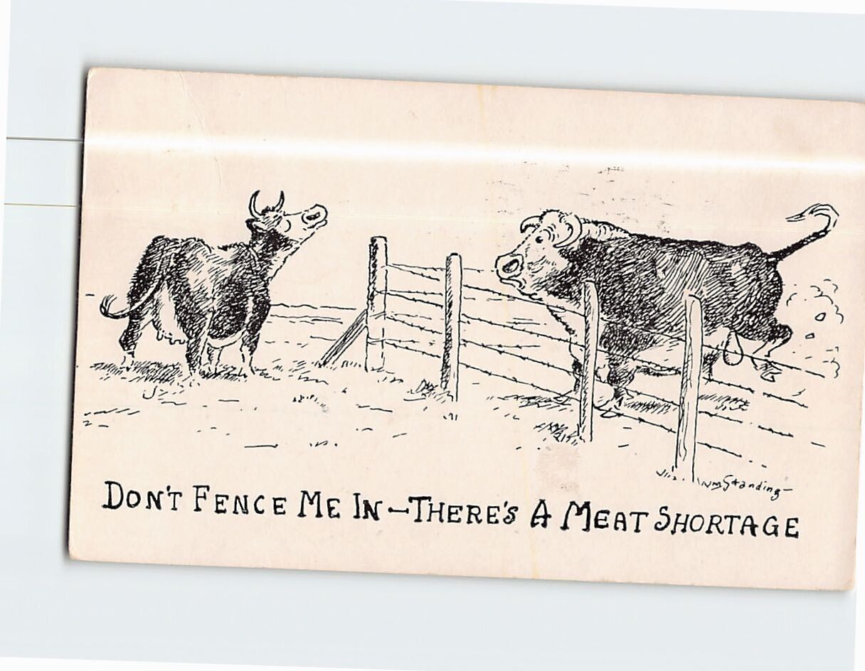 Postcard Dont Fence Me In Theres A Meat Shortage with Cows Humor Comic Etching