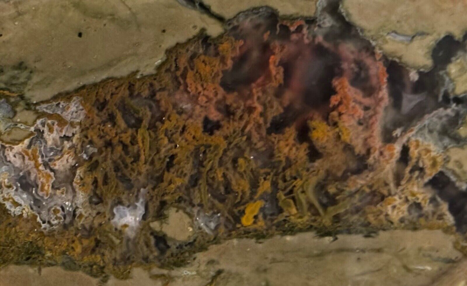 Priday Moss Agate Thunderegg rock slabs (2) lapidary cabbing rough