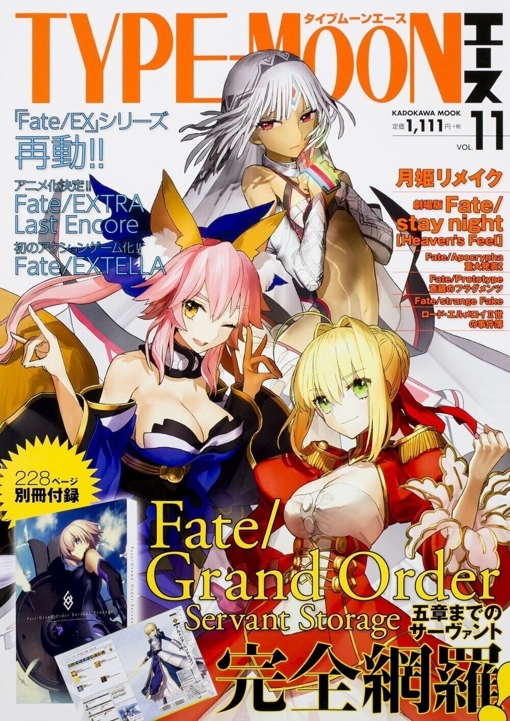 TYPE-MOON Ace Vol.11 Magazine Fate/EXTELLA FGO Tsukihime Remake JP