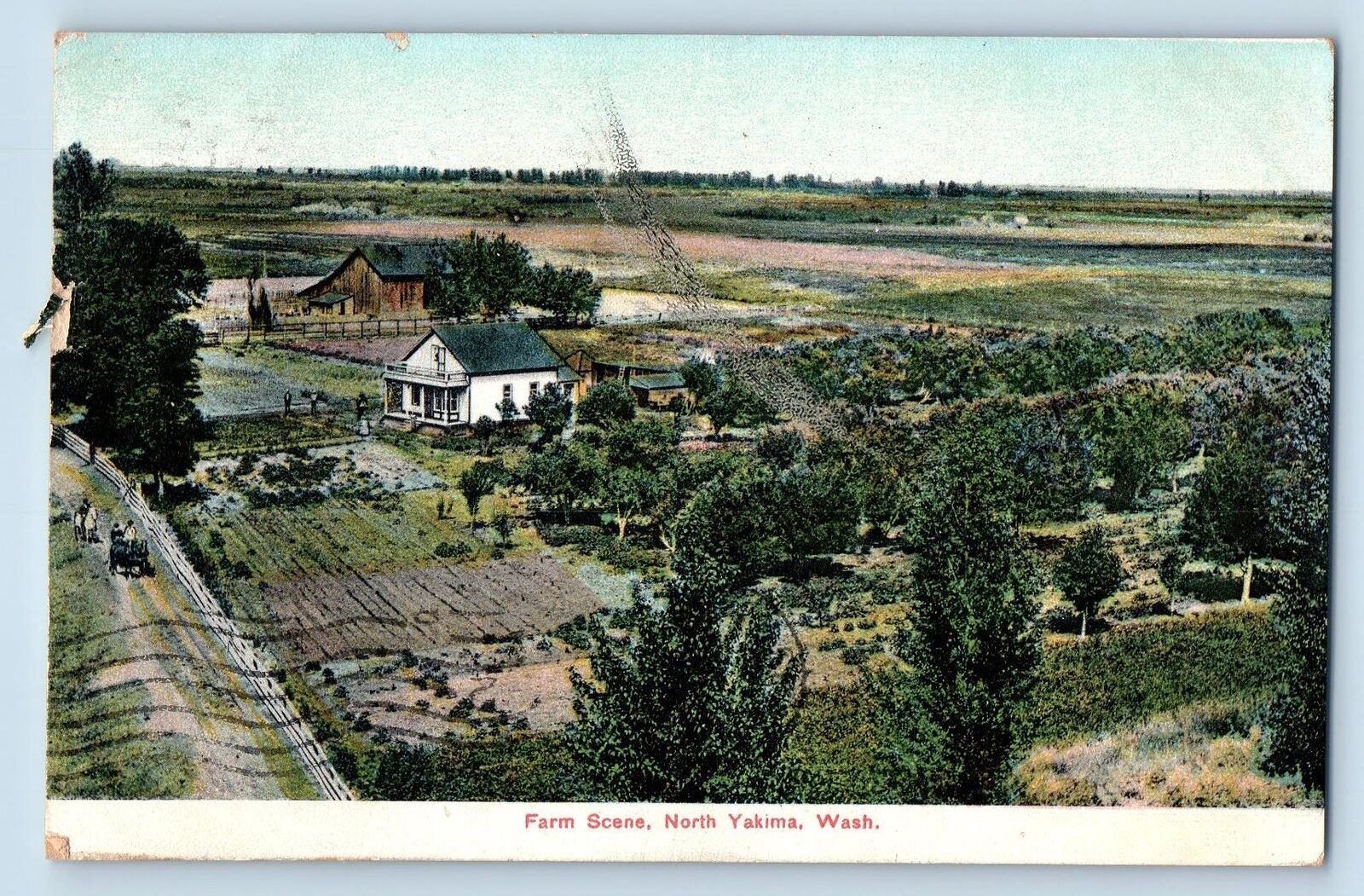 North Yakima Washington Postcard Aerial View Of Farm Scene 1908 Antique Trees