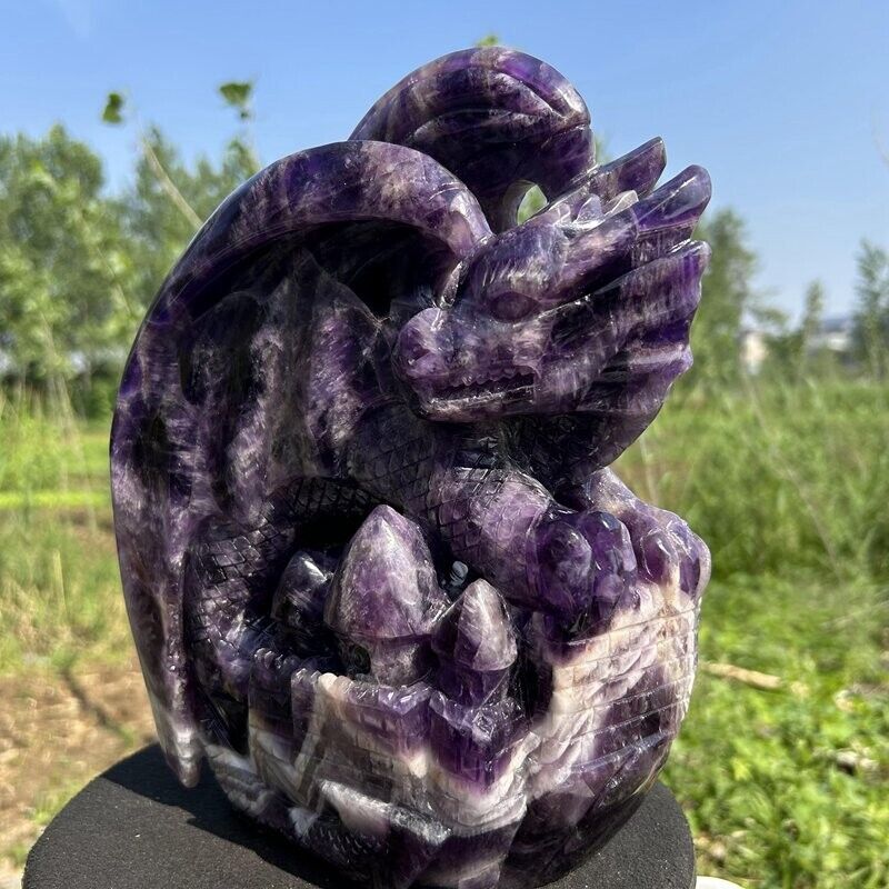 12.32LB Top Natural Dream Amethyst Quartz Dragon Skull Carved Crystal Reiki Gift