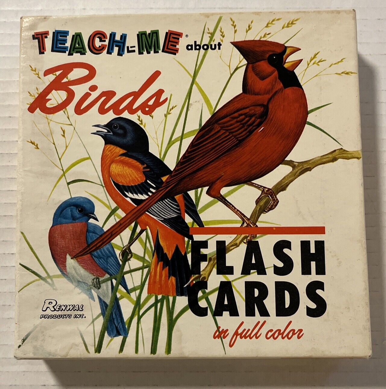 Teach-Me-about Birds Flash Cards In Full Color- Renwal-1968-Vintage-USA-VG Cond.