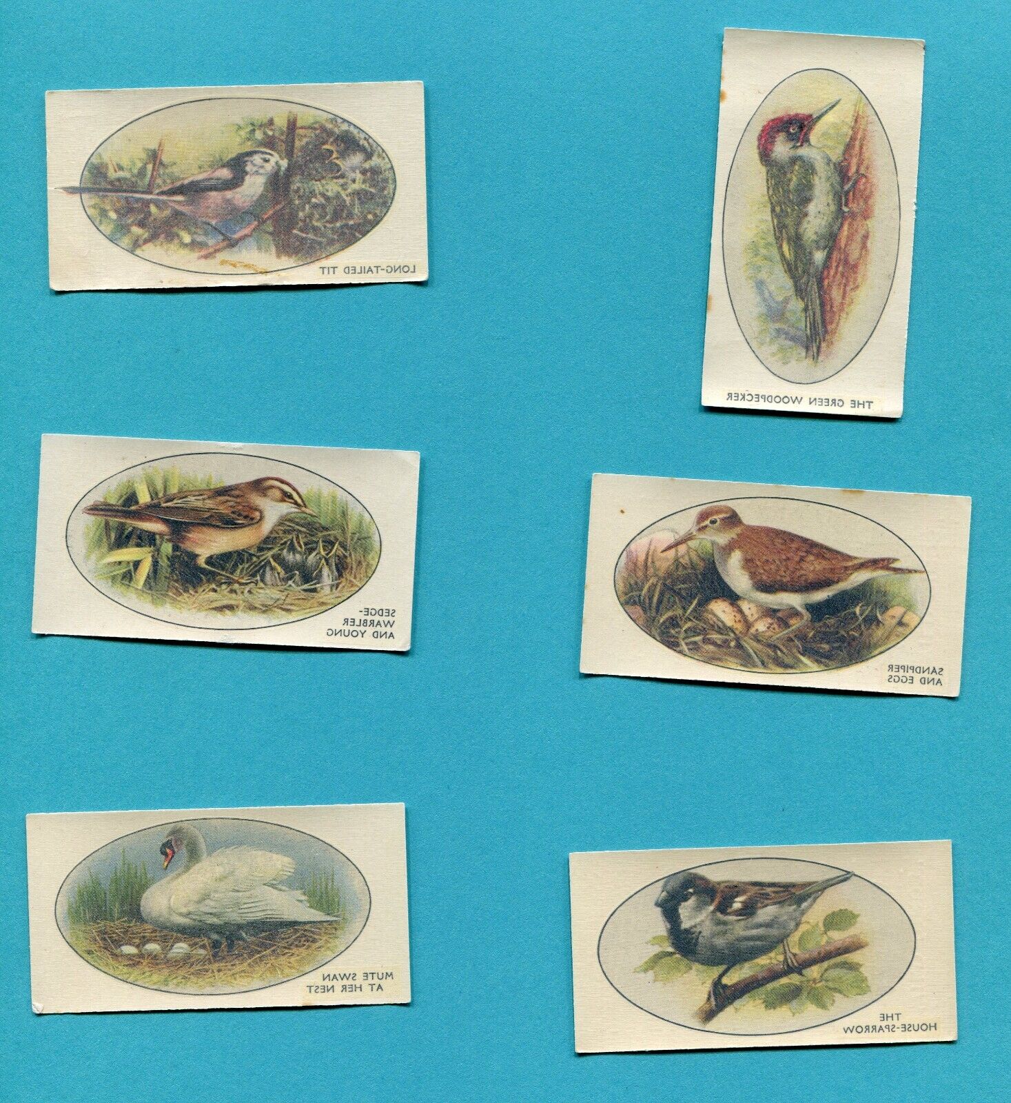 1932 JOHN PLAYER & SONS CIGARETTES WILD BIRDS TRANSFERS 6 TOBACCO CARD LOT