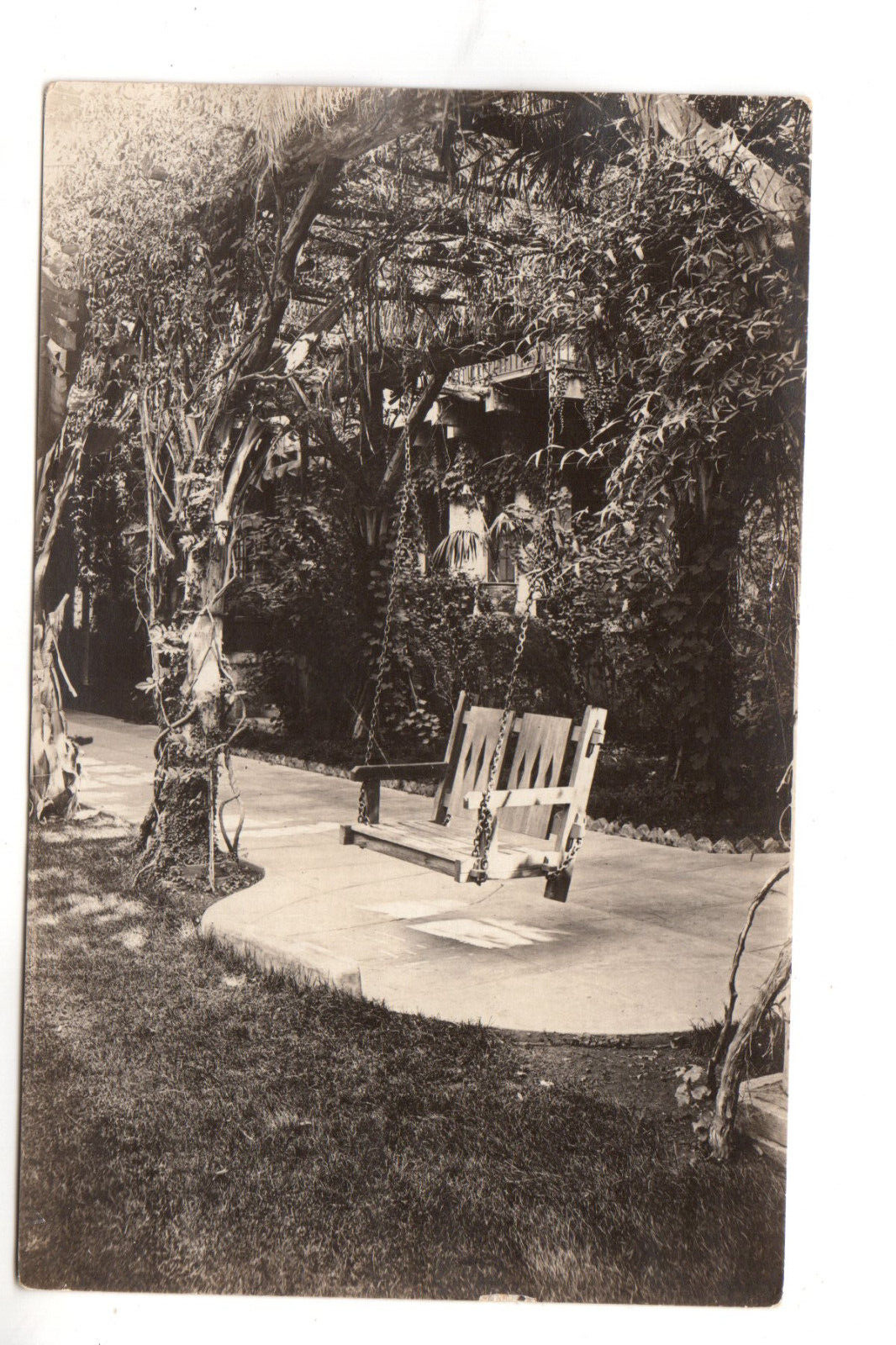 RPPC Postcard: Wooden Garden Hanging Swing for 2; under an arboretum