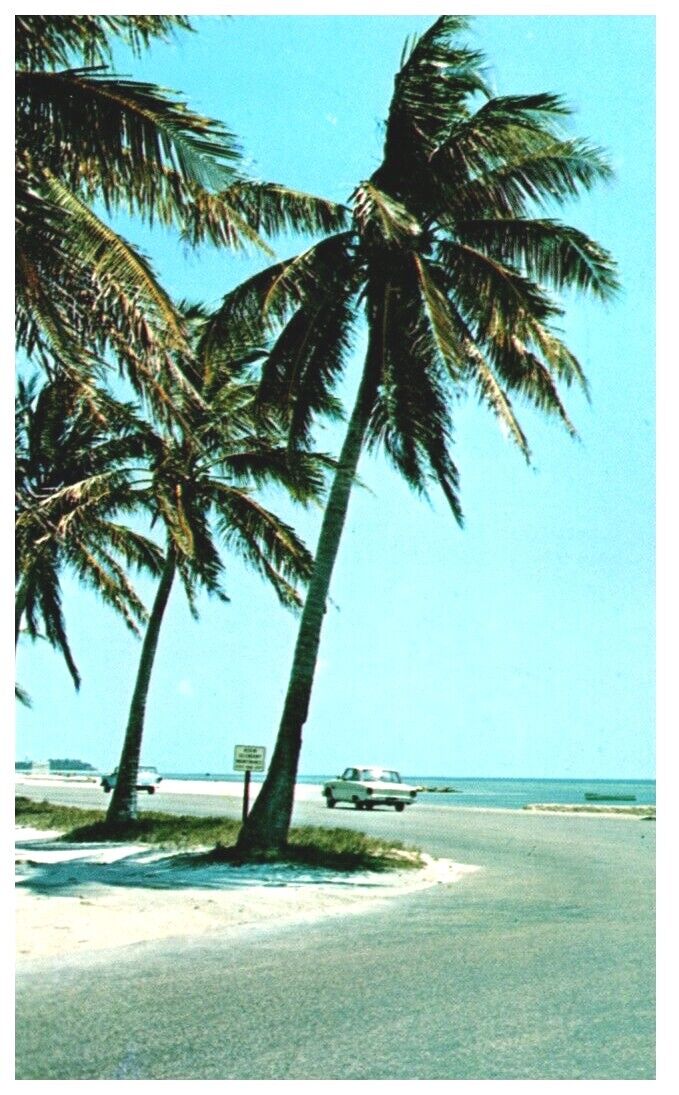 FLORIDA-LAND OF SUN BLUE WATERS,WHITE SANDS & PALMS.VTG POSTCARD*D14