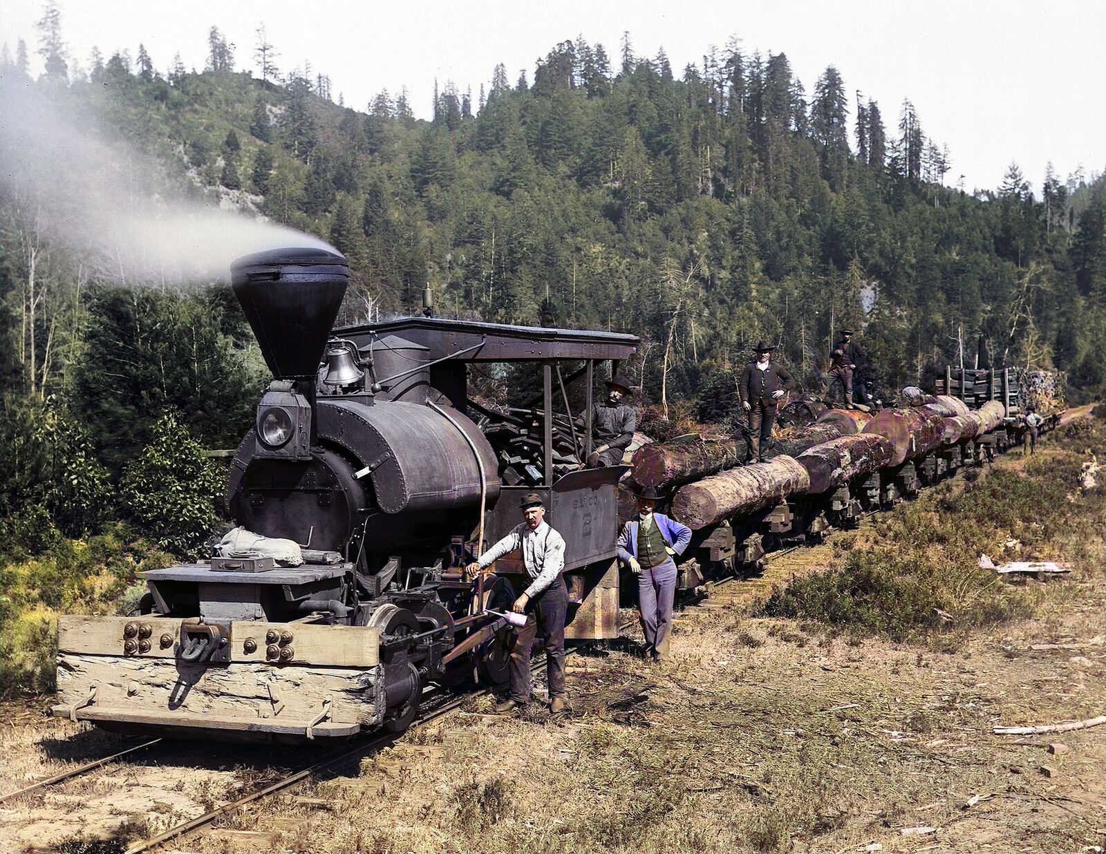 1900 Loaded Logging Train, California Old Photo 8.5\