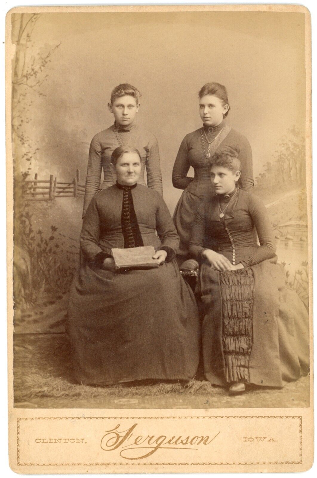 CIRCA 1880\'S CABINET CARD Beautiful Mother & 3 Daughters Ferguson Clinton, IA