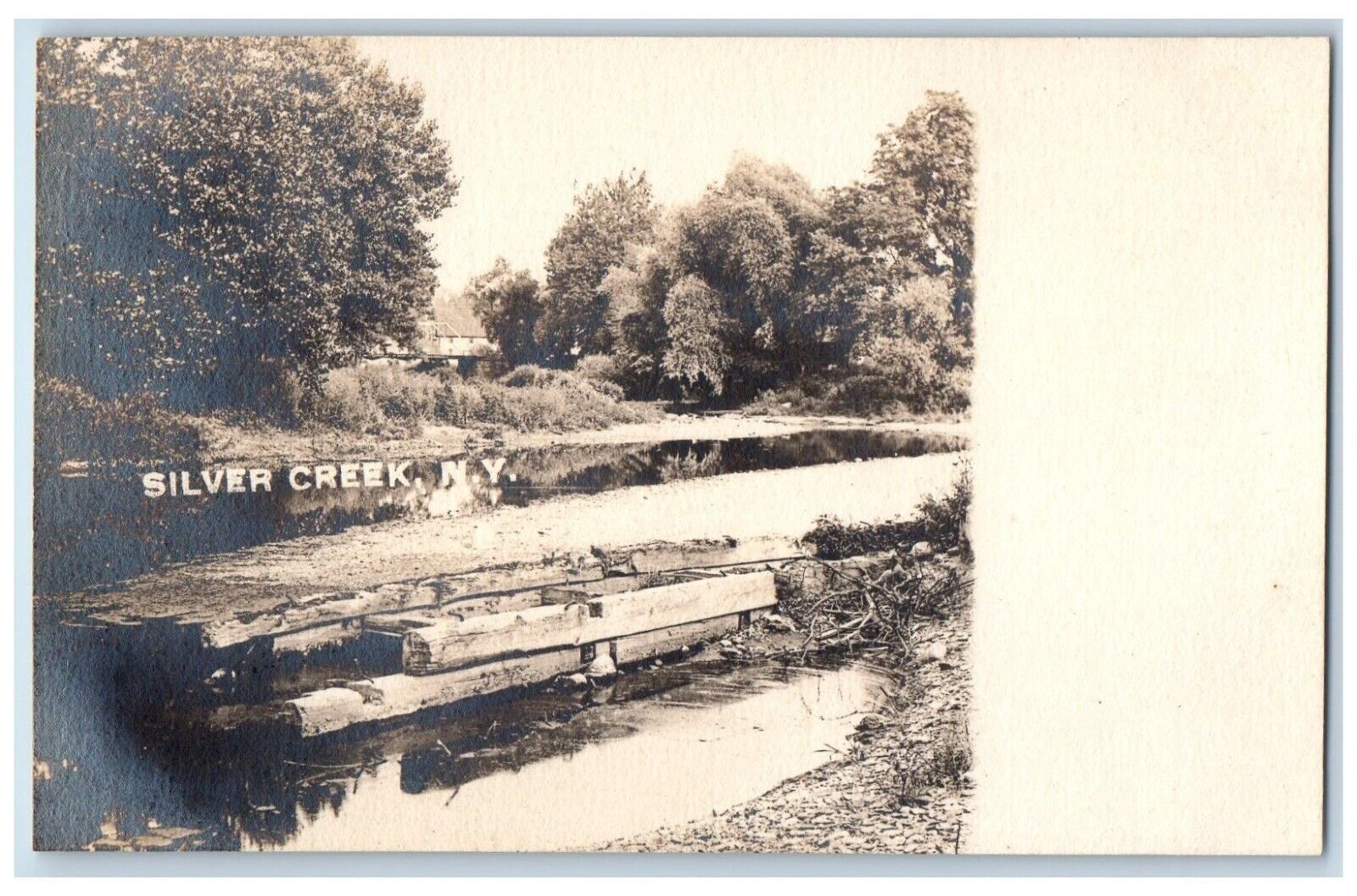 c1910\'s View Of Residence Forest Silver Creek New York NY RPPC Photo Postcard