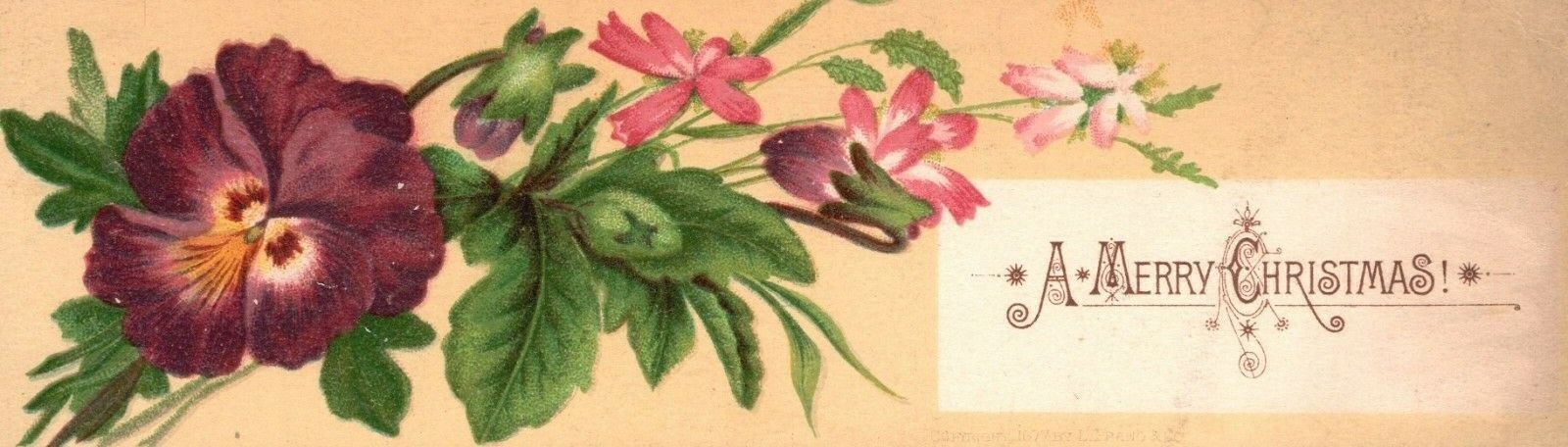 1880s-90s Purple & Pink Blooming Flowers A Merry Christmas Trade Card