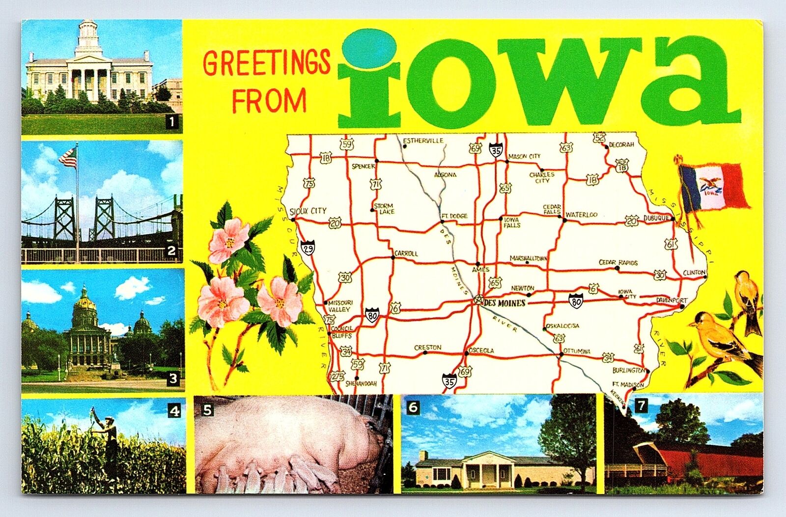 Postcard Greetings From Iowa Large Letter Greetings Map Multi-View Mike Roberts