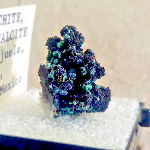 Rare Murdochite with Aurichalcite Specimen-Mina Ojuela, Mapimi, Dgo. Mexico SP77