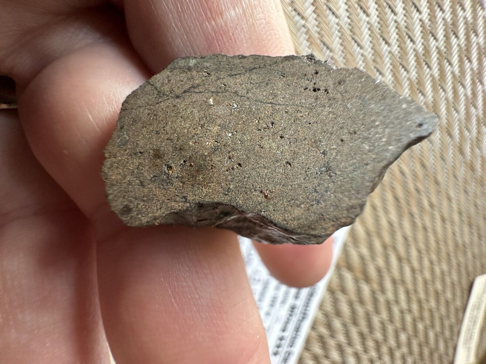 NWA X Unclassified Meteorite, 13.3 Grams