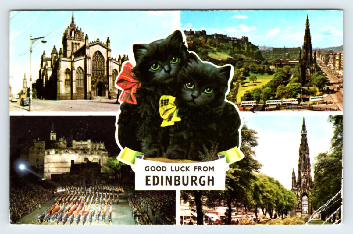 Cute Kittens Good Luck from Edinburgh Scotland Postcard APS16