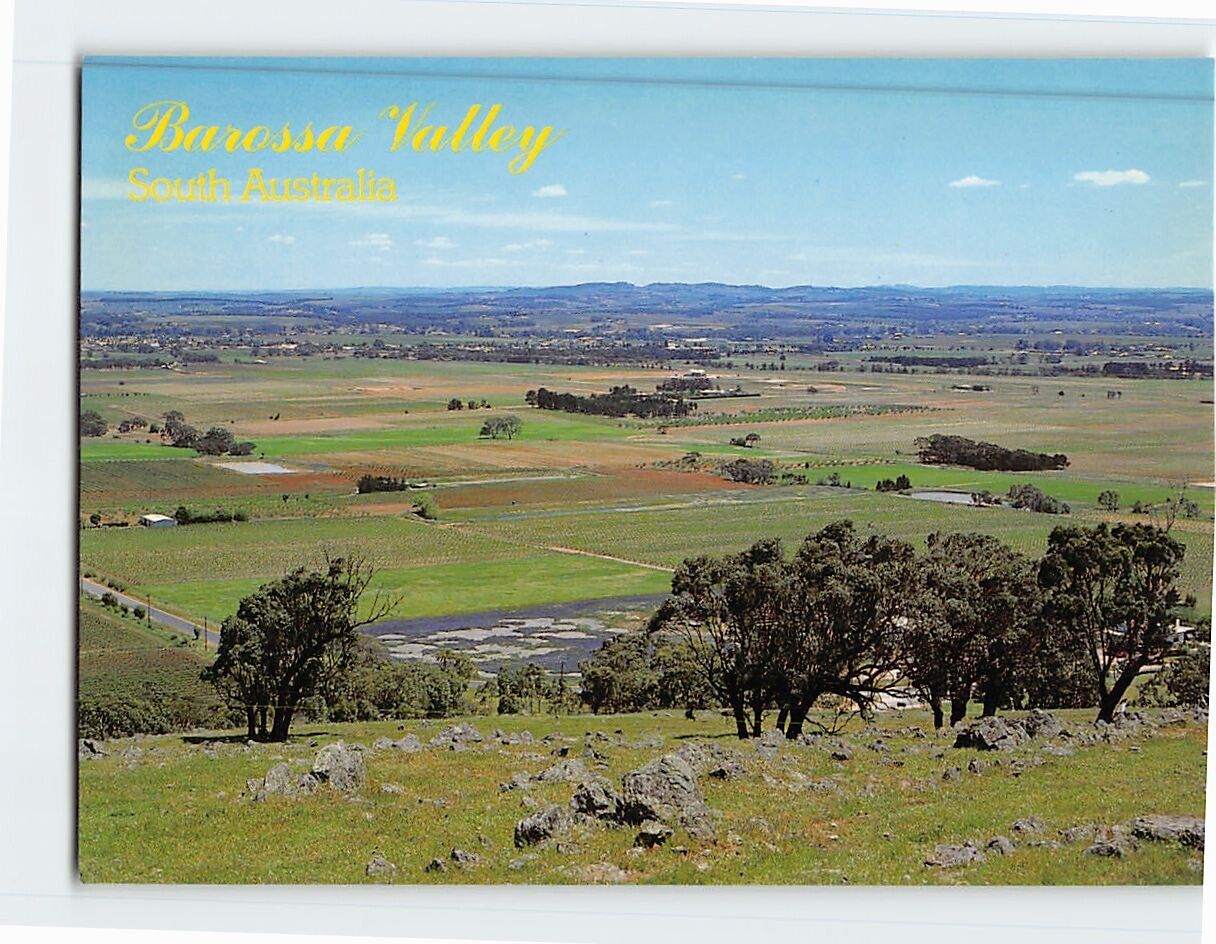 Postcard Vineyards of Barrossa Valley South Australia