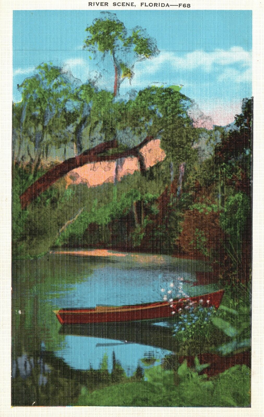 Vintage Postcard River Scene Balmy Sunshine Tall Pines Towering Palms Florida FL