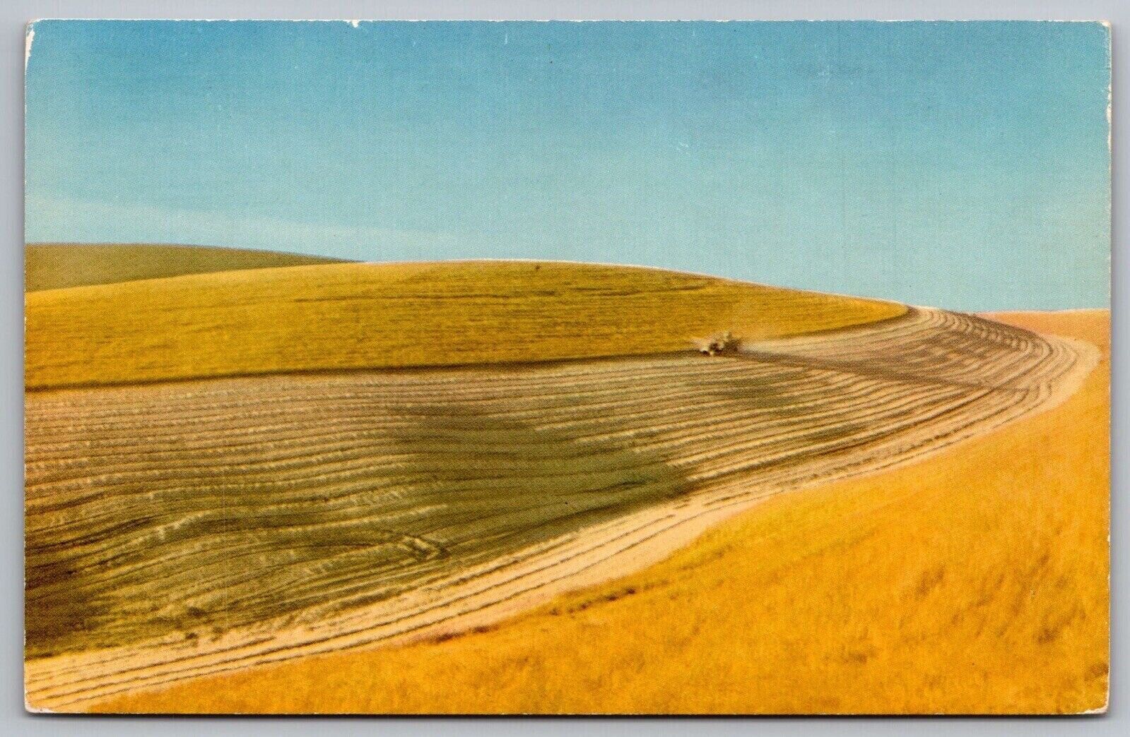 Grain Fields Eastern Oregon Washington Farming Tractor Birds Eye View Postcard