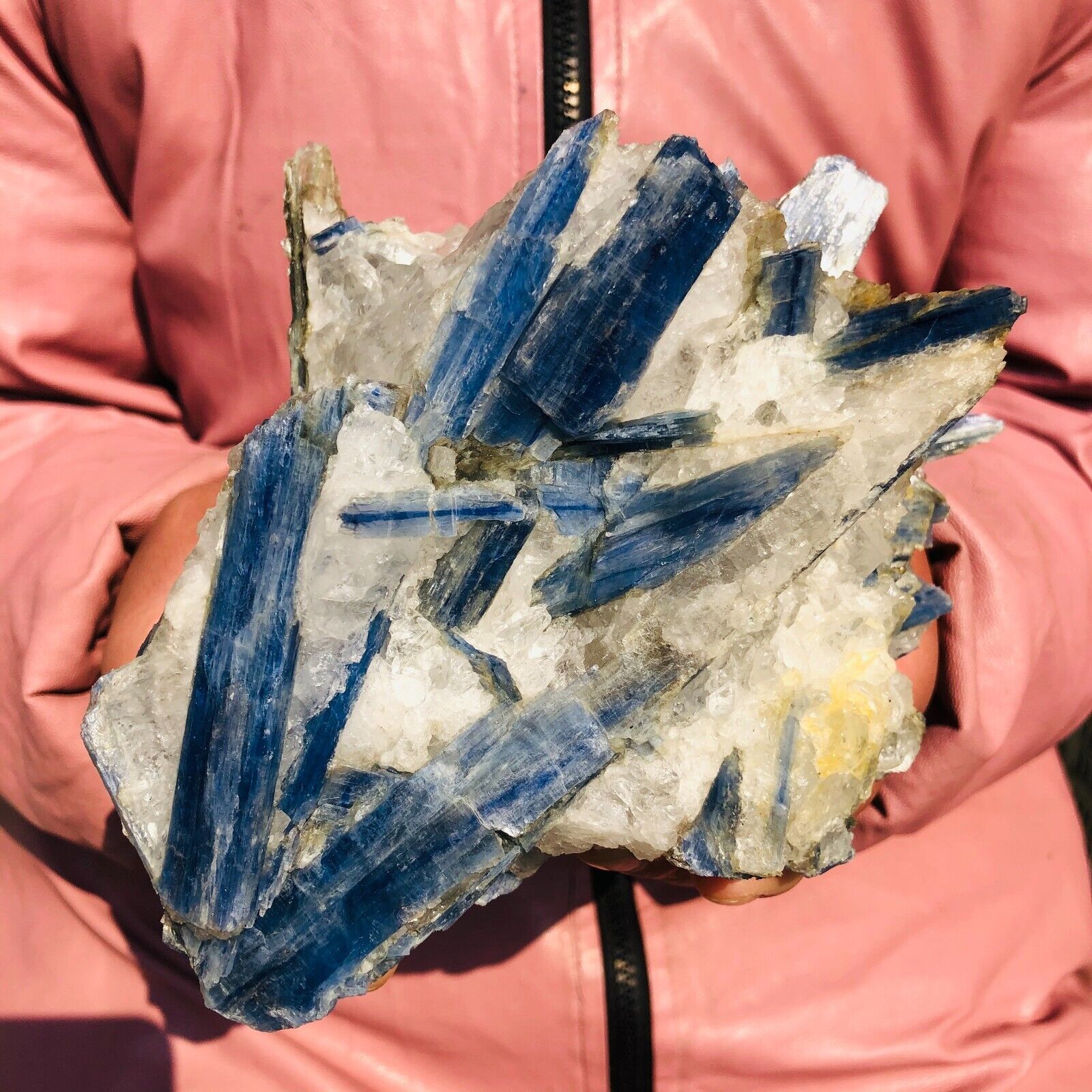 2.81LB Natural Kyanite Quartecrystal clusters Mineral Specimen Reiki Healing  