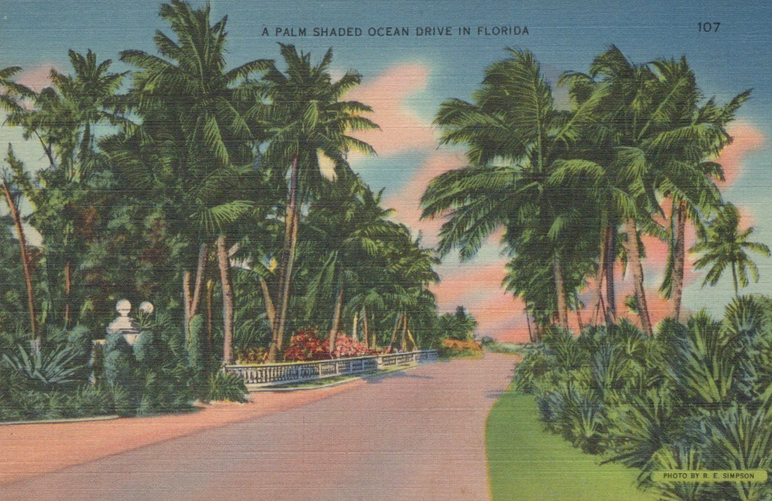 A Palm Shaded Ocean Drive In Florida Vintage Linen Post Card 