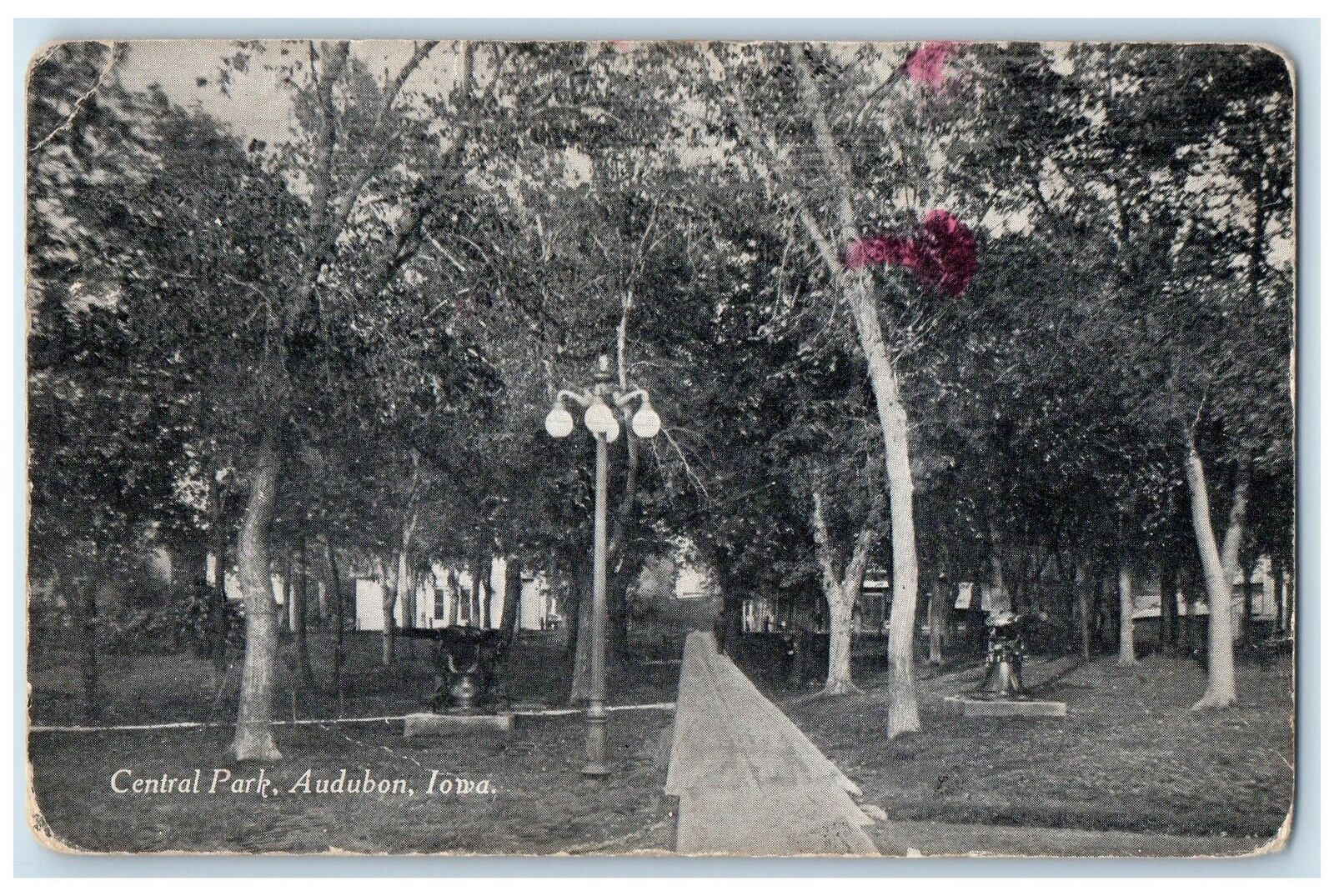 c1910\'s Central Park Pathways Lights Groves Views Audubon Iowa Antique Postcard