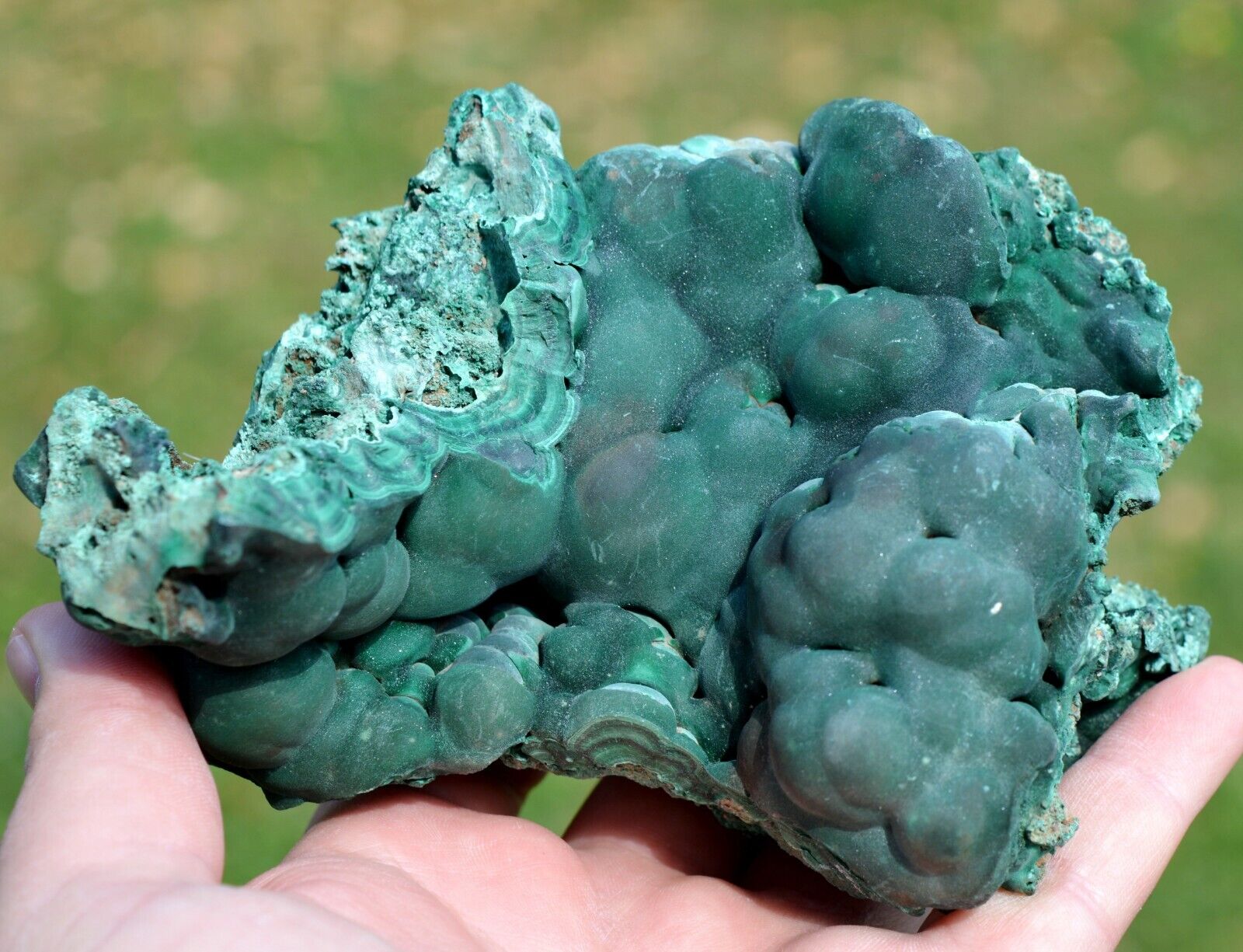 Malachite 907 grams - L\'Etoile du Congo Mine, Lubumbashi, DR Congo