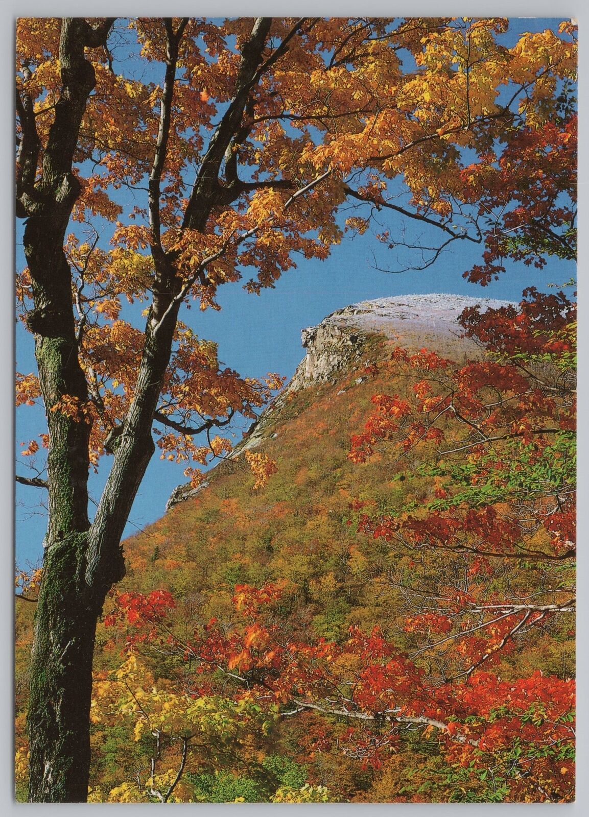 Autumn Colors Fall Over Man Of The Mountain~New Hampshire Scenics~Continental PC