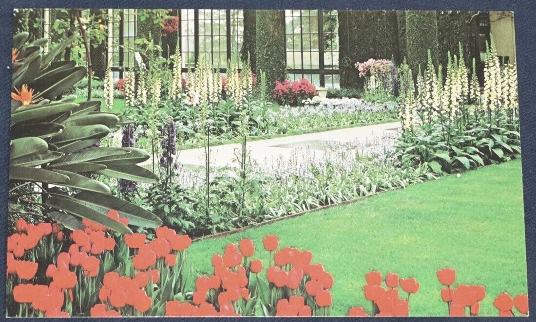 Tulips & Foxglove, Longwood Gardens, Kennett Square, PA Postcard 