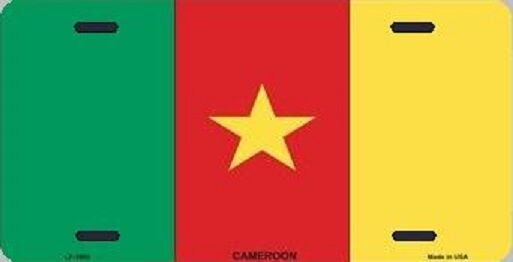 Aluminum National Flag Cameroon \
