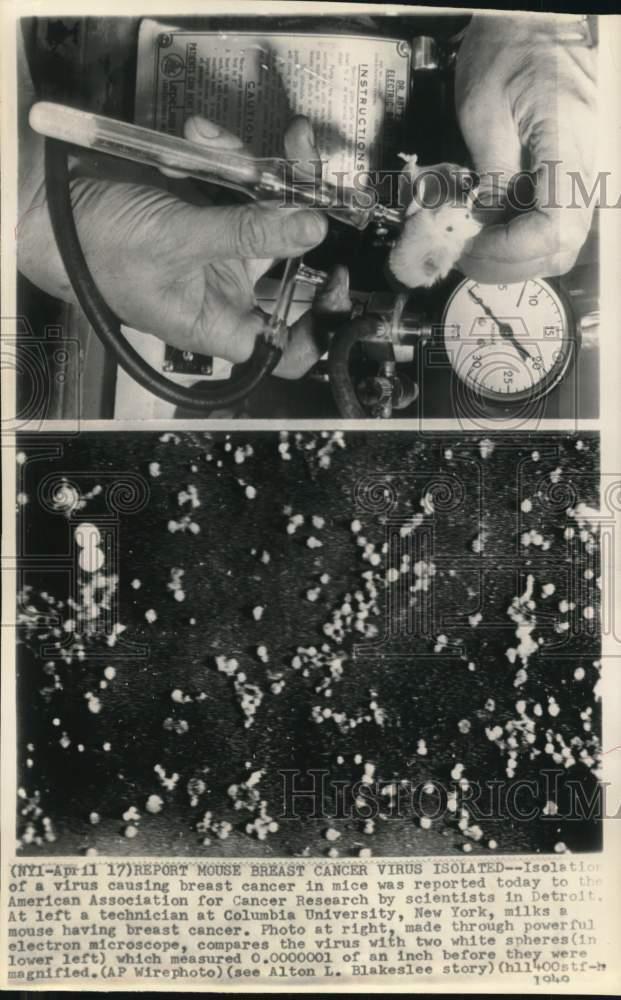 1949 Press Photo Technician with mouse at cancer research lab & magnified virus