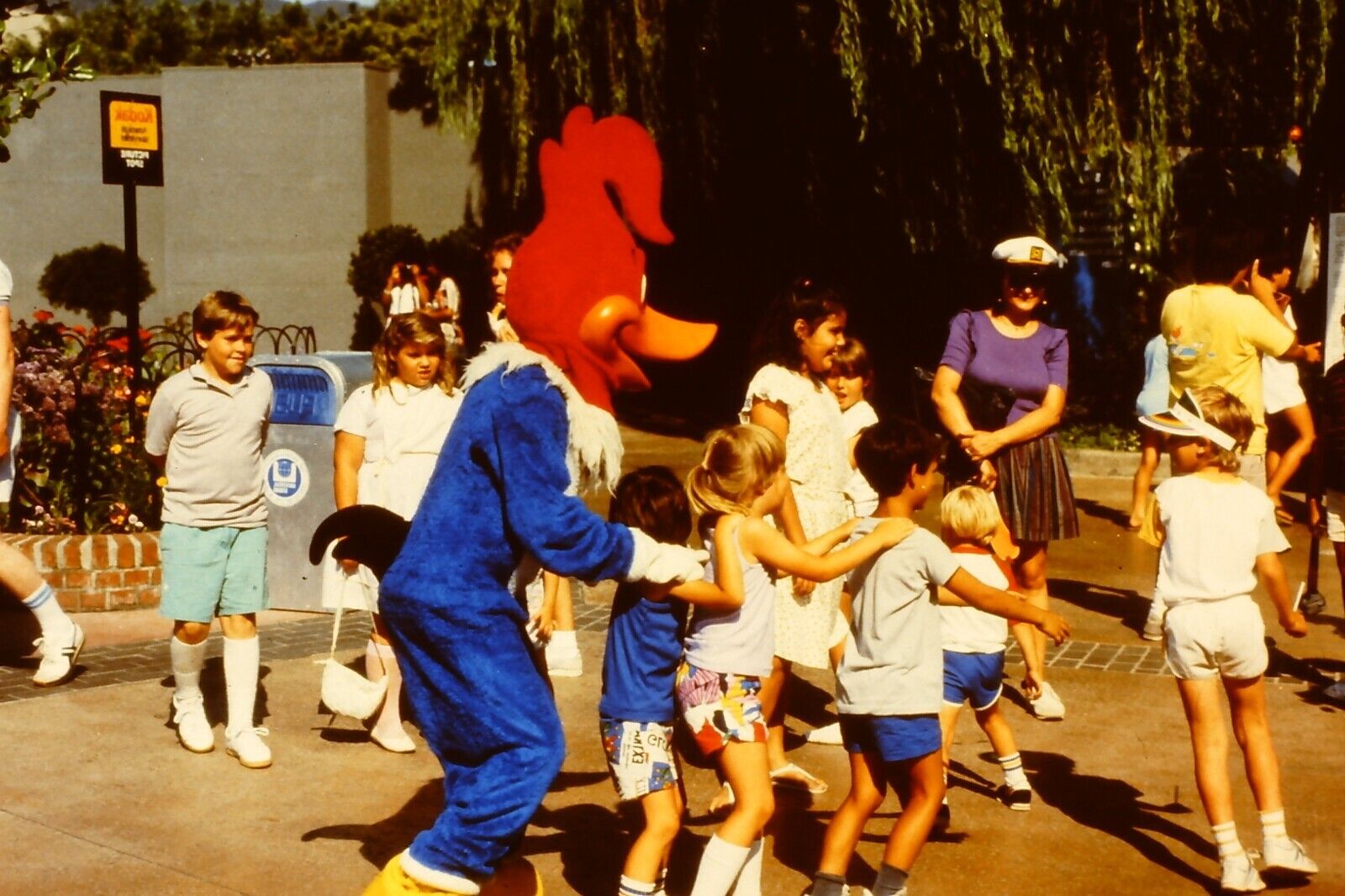 WOODY WOODPECKER 1987 Universal Studios Hollywood Commercial 35mm Slide 