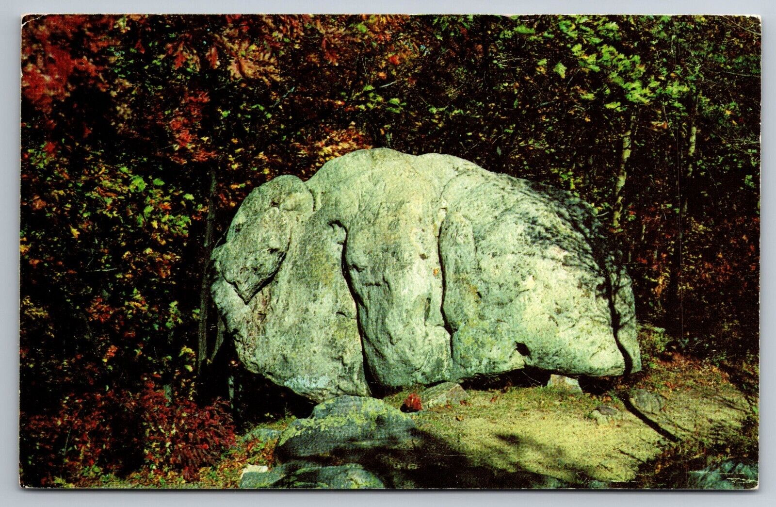 Devil\'s Lake State Park Baraboo Wisconsin Sauk County Elephant Rock Postcard 992