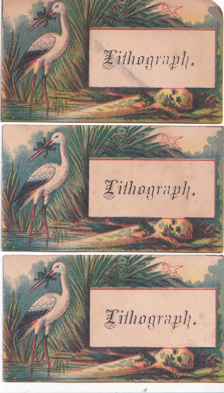 Antique Victorian Lithograph Calling / Business Card Lot - Crane Bird