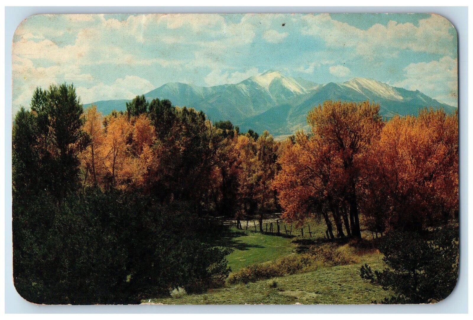 1961 Mount Princeton Scenic View Trees Yuma Colorado CO Vintage Posted Postcard