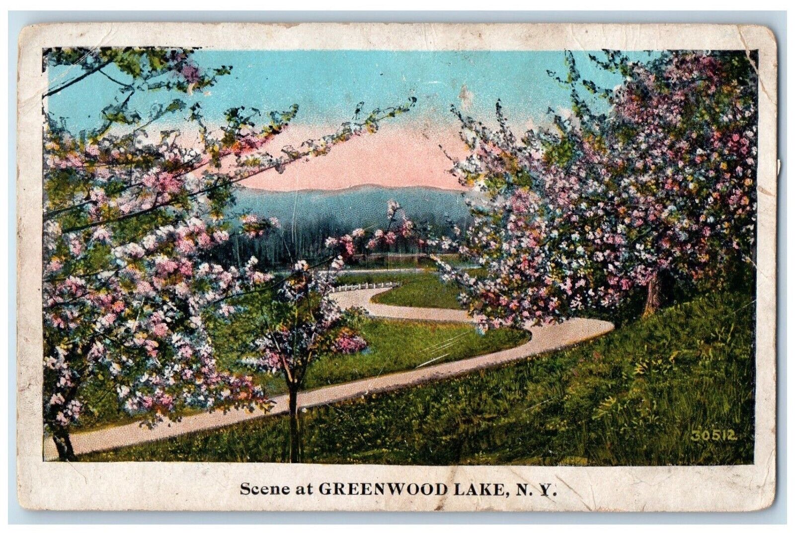 c1920 Scene Flower Field Garden Greenwood Lake New York Vintage Antique Postcard