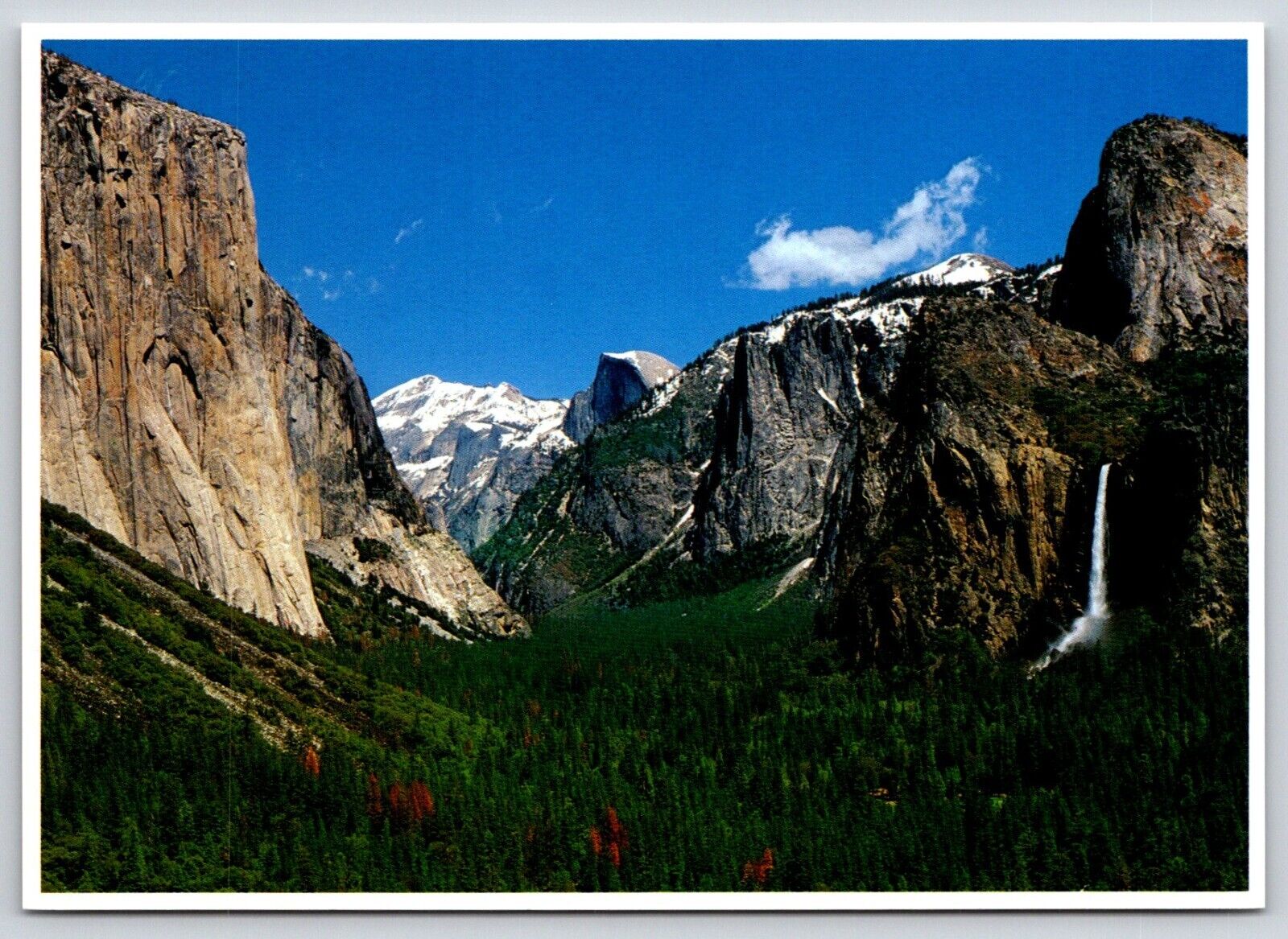Postcard CA Yosemite Valley View 