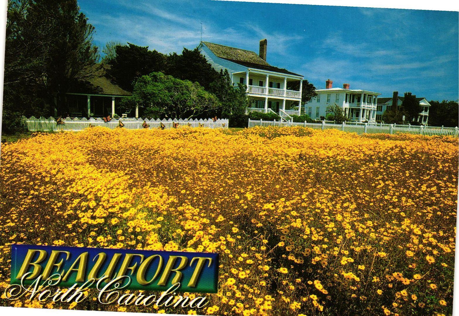 Vintage Postcard 4x6- BEAUFORT, N.C.