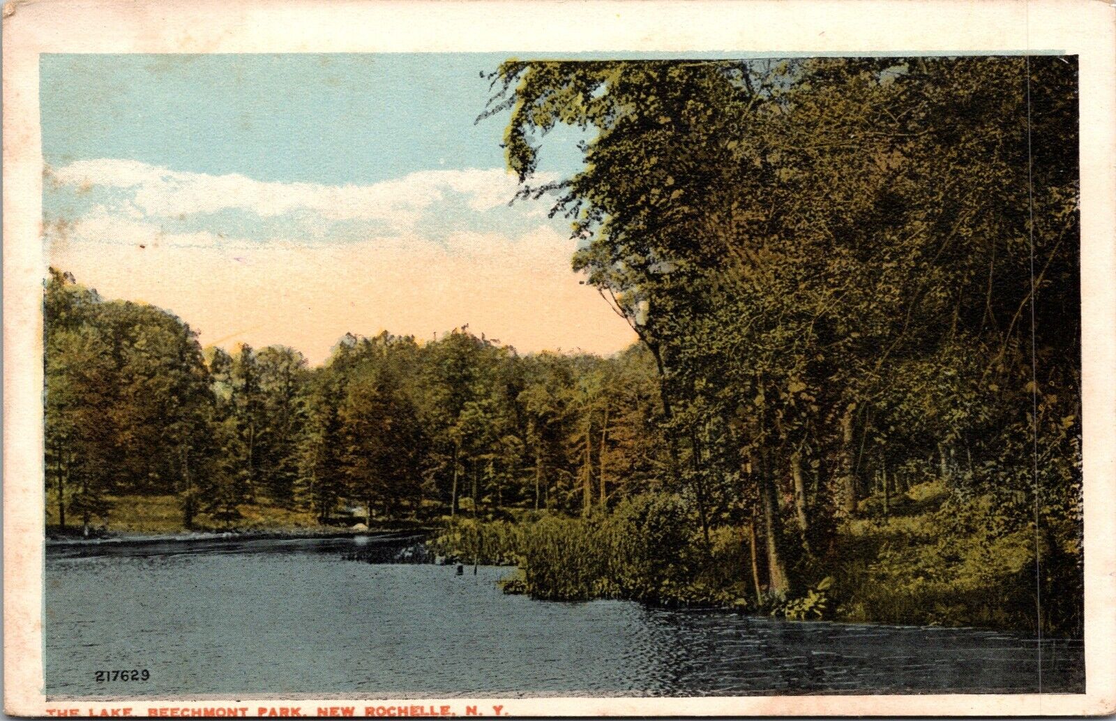Postcard~New Rochelle N.Y.~Lake~Beechmont Park~Scenic View~Woods~c1920s