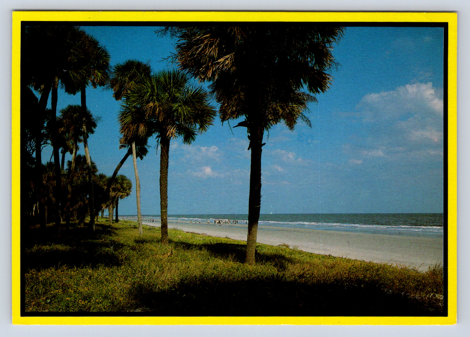 Vintage Postcard Hilton Head Island South Carolina 1990