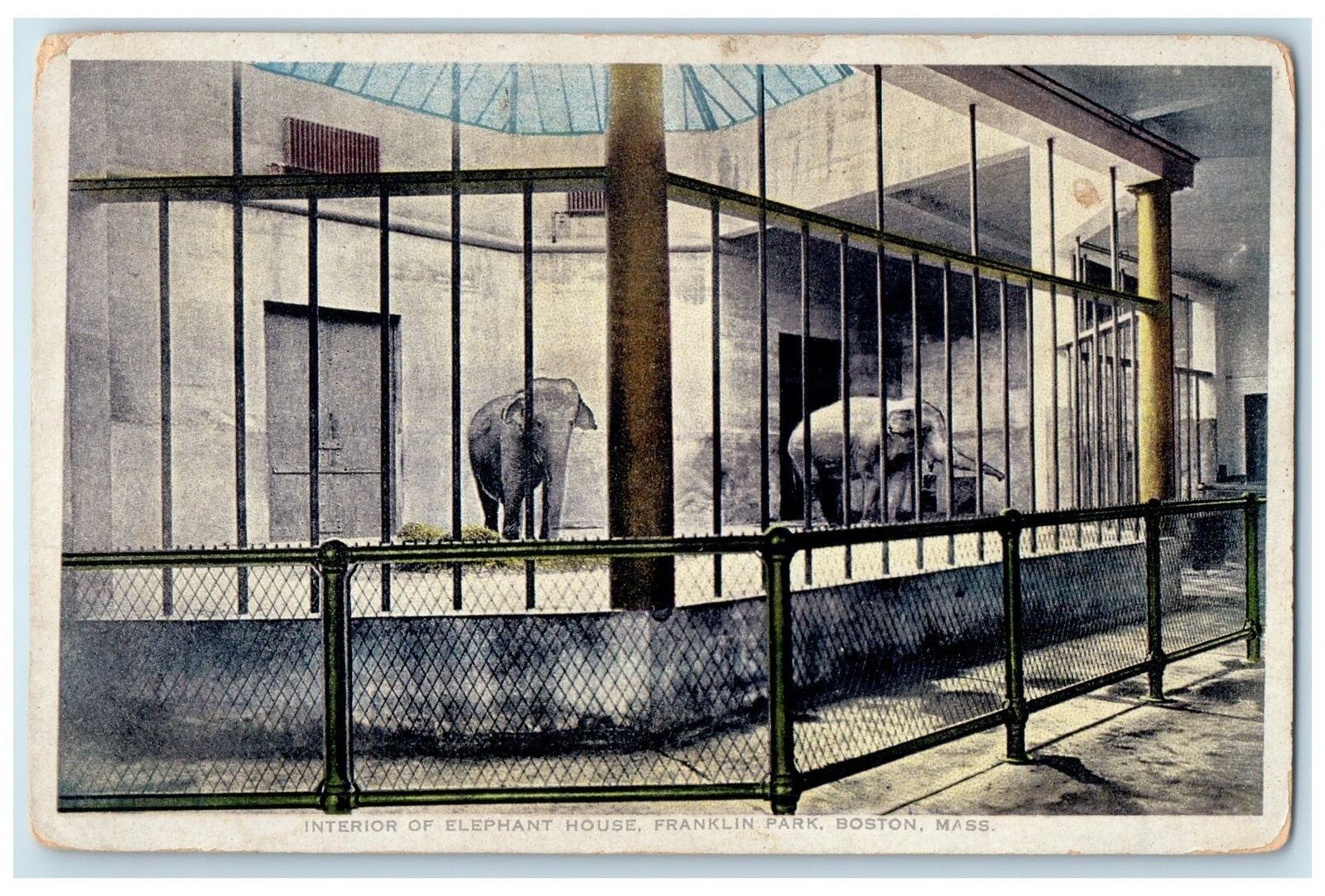 c1920\'s Interior Of Elephant House Franklin Park Boston Massachusetts Postcard