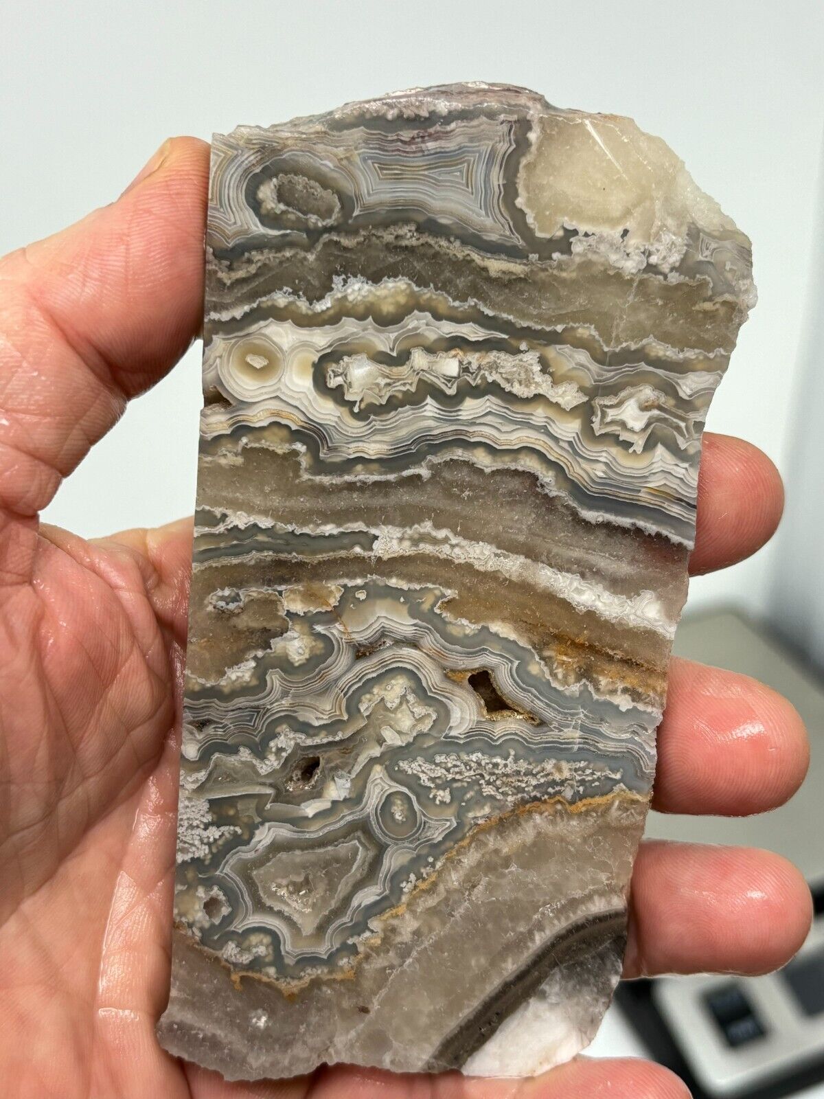 Mexican Laguna Crazy Lace Agate Slab Cabbing Collecting Combo Ship Avail