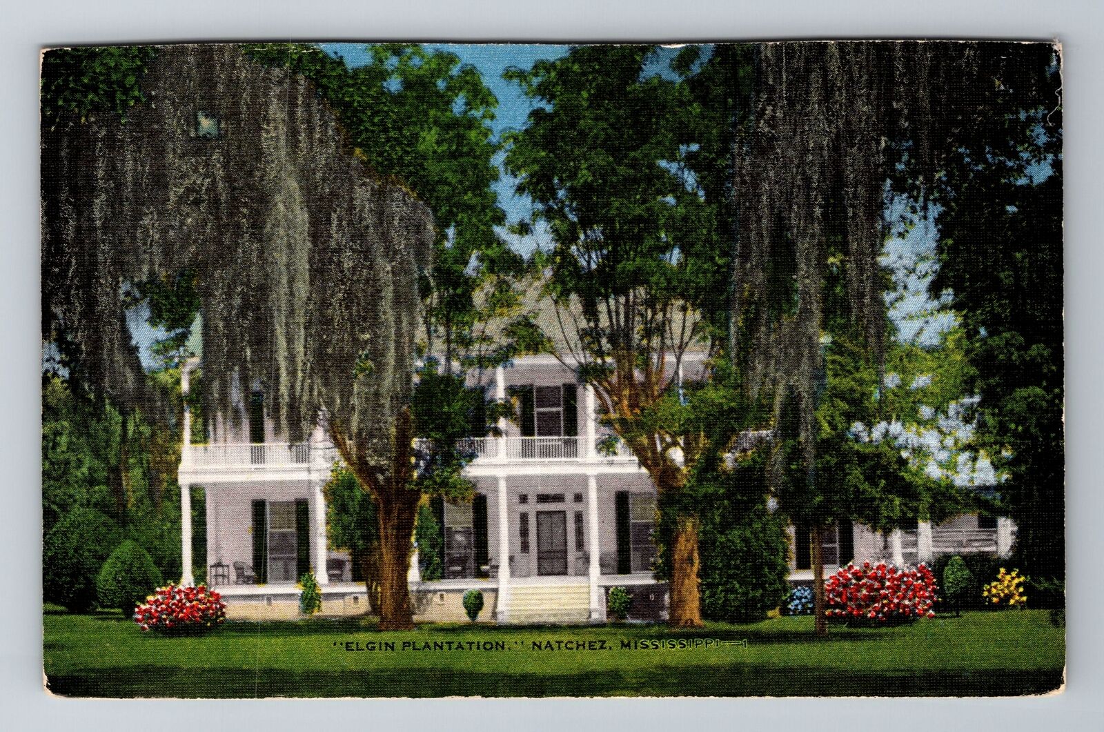 Natchez MS-Mississippi, Elgin Plantation, Antique, Vintage Souvenir Postcard
