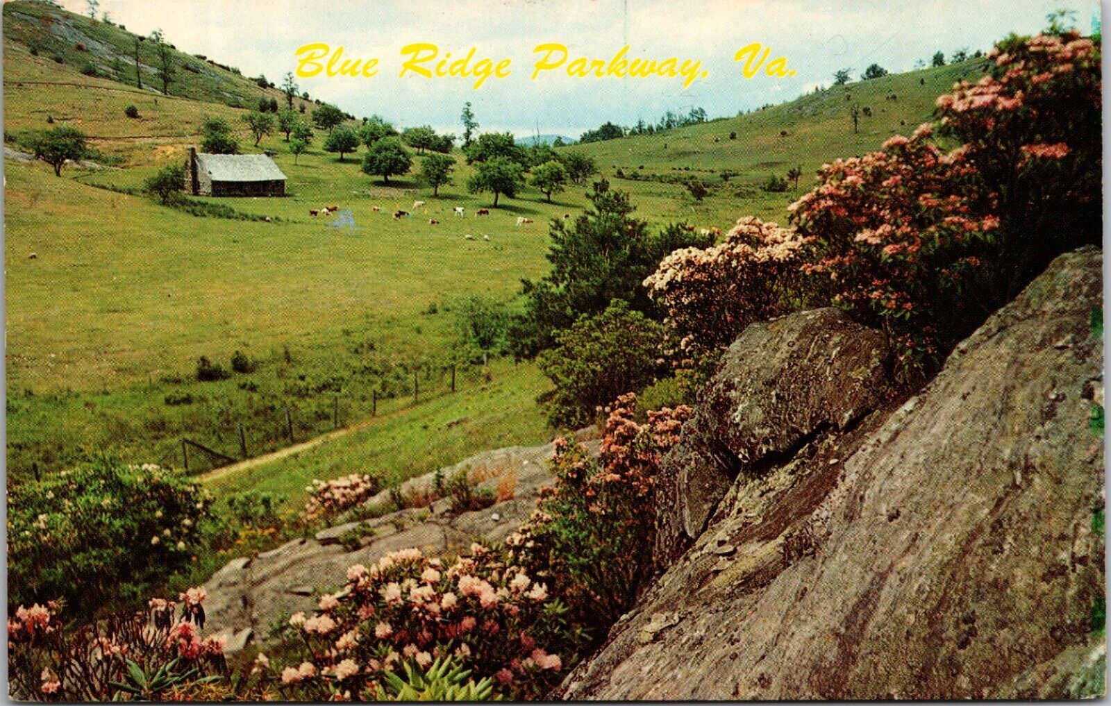 Postcard VA Blue Ridge Parkway Virginia