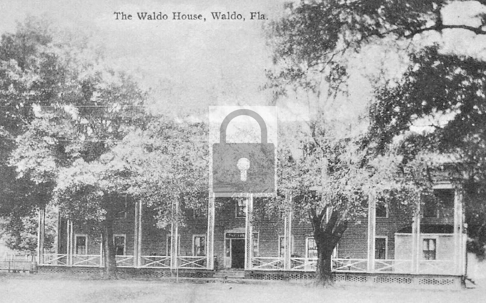 The Waldo House Florida FL Reprint Postcard