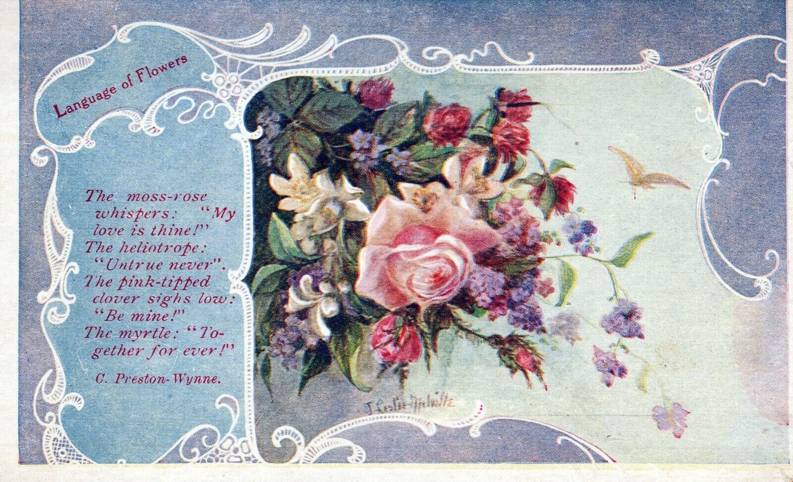 Language of Flowers C. Preston-Wynne Poem Postcard