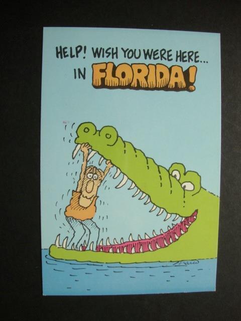 Railfans2 496) Florida, Art, Alligator, Man, Humor, Cartoon, Greetings, Comedy