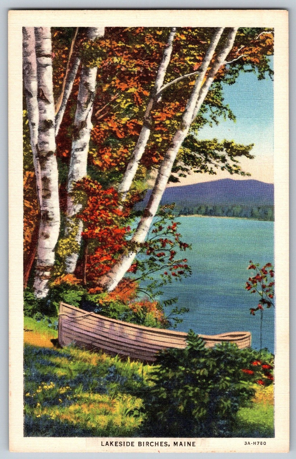 Maine ME - Lakeside Birches - Canoeing on Lake - Vintage Postcard - Unposted