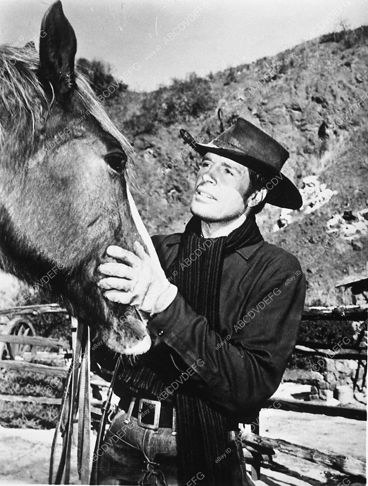 4109-015 Robert Horton petting his horse TV Wagon Train 4109-15 4109-015